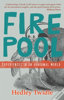 Capa do artigo Firepool
