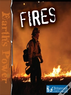 Capa do artigo Fires