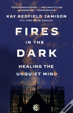 Capa do artigo Fires In The Dark