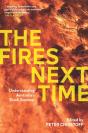 Fires Next Time - Preview