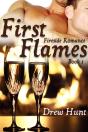 Fireside Romance Book 1: First Flames - Preview