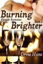Fireside Romance Book 2: Burning Brighter - Preview