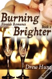 Capa do artigo Fireside Romance Book 2: Burning Brighter