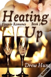Capa do artigo Fireside Romance Book 3: Heating Up
