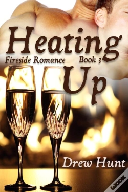 Capa do artigo Fireside Romance Book 3: Heating Up