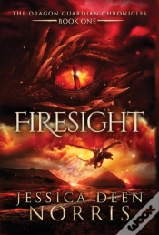 Capa do artigo Firesight