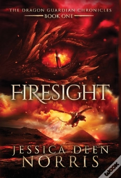 Capa do artigo Firesight