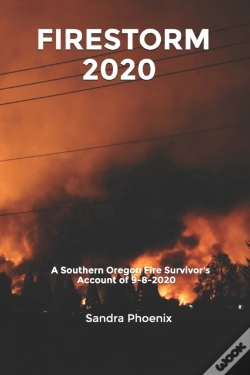 Capa do artigo Firestorm 2020