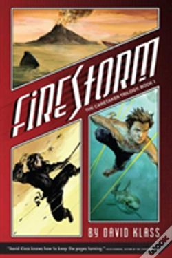 Capa do artigo Firestorm