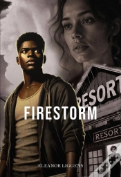 Capa do artigo Firestorm