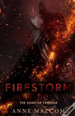 Capa do artigo Firestorm