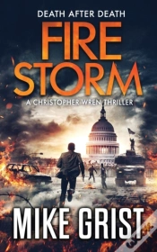Capa do artigo Firestorm