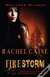 Capa do artigo Firestorm