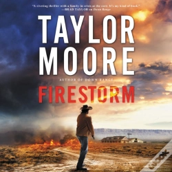 Capa do artigo Firestorm