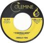 Firewalker/Chalupa - Vinil - Preview