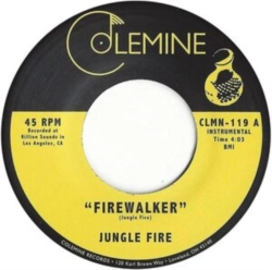 Capa do artigo Firewalker/Chalupa - Vinil