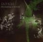 Fireworking at St.Croix - Vinil - Preview