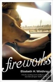 Capa do artigo Fireworks