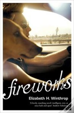 Capa do artigo Fireworks