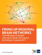 Firing Up Regional Brain Networks - Preview
