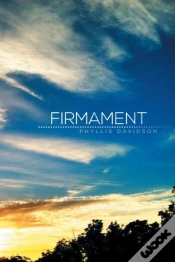 Capa do artigo Firmament