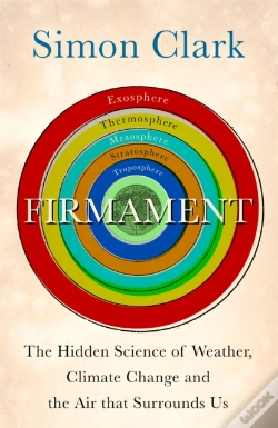 Capa do artigo Firmament