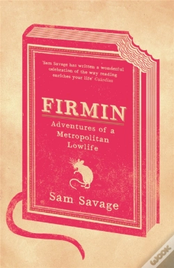 Capa do artigo Firmin