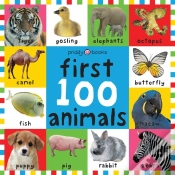 Capa do artigo First 100 Animals