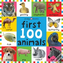 Capa do artigo First 100 Animals