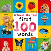 Capa do artigo First 100 Words: Touch-And-Feel