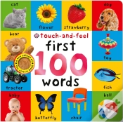 Capa do artigo First 100 Words Touch-And-Feel