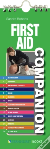 Capa do artigo First Aid Companion