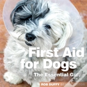 Capa do artigo First Aid For Dogs The Essential Guide