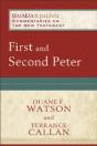 First And Second Peter - Preview