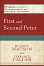 First And Second Peter (Paideia: Commentaries On The New Testament) - Preview