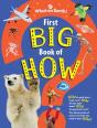 First Big Book Of How - Preview