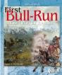 First Bull Run - Preview