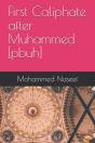 First Caliphate After Muhammed (Pbuh) - Preview