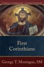 First Corinthians (Catholic Commentary On Sacred Scripture) - Preview