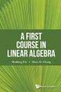 First Course In Linear Algebra, A - Preview
