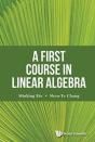 First Course In Linear Algebra, A - Preview