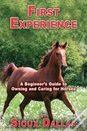 Capa do artigo First Experience: A Beginner