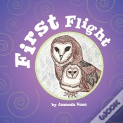 Capa do artigo First Flight