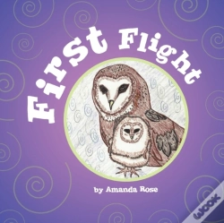 Capa do artigo First Flight