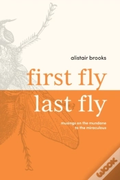Capa do artigo First Fly, Last Fly