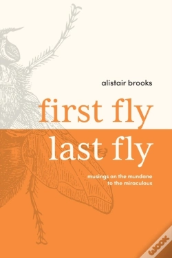 Capa do artigo First Fly, Last Fly