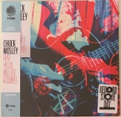 Capa do artigo First Hellos And Last Goodbyes - Vinil