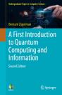 First Introduction To Quantum Computing And Information - Preview