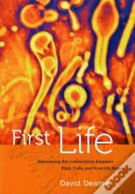 First Life