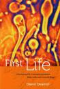 First Life - Preview